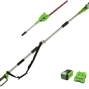 Taille-Haie sur Perche Sans Fil à Batterie 18V RYOBI ONE+