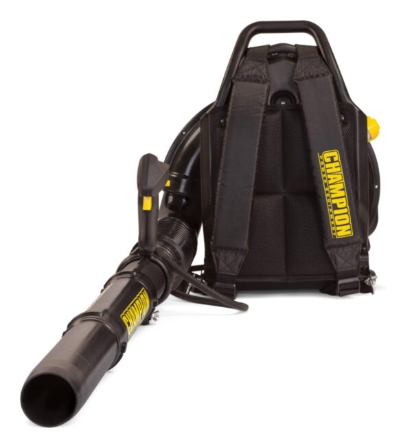Souffleuse à feuilles à essence Champion Power Equipment 100443, 63 cm3
