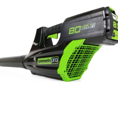 Souffleuse à feuilles sans fil Greenworks, 80 V