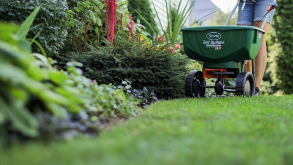 Épandeur de luxe à la volée Scotts Turf Builder, 15 000 pi² – Image 4