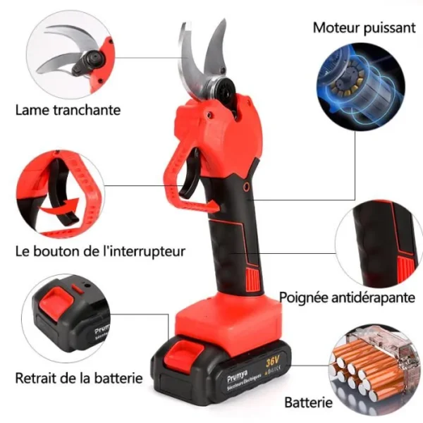 Sécateur Sans Fil Professionnel PRUMYA 750W 40mm Avec 2 Batteries Rechargeable – Image 2