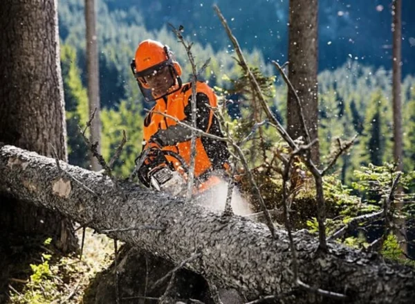 Tronçonneuse thermique STIHL MS 261 C-M – Image 3
