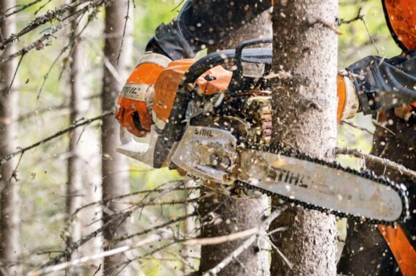 Tronçonneuse thermique STIHL MS 261 C-M – Image 5